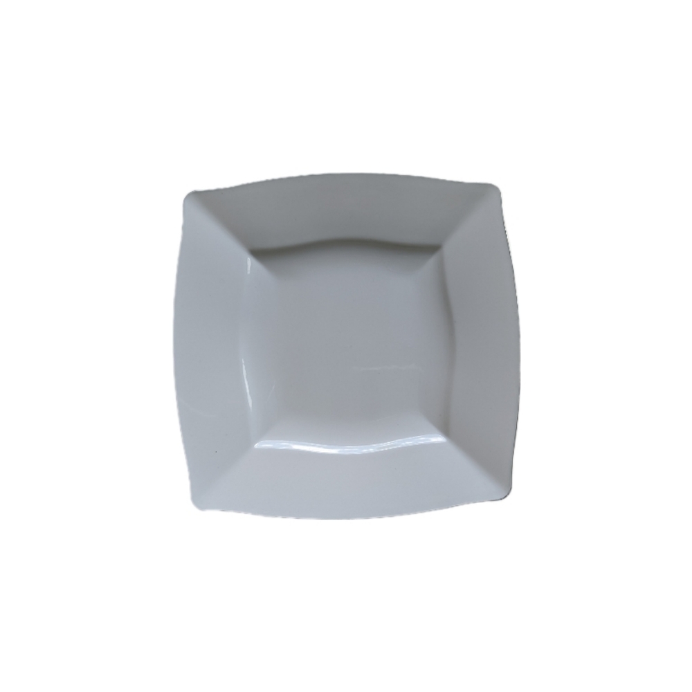 36 (6 pkg of 6) Fancy Plastic Plates with Silver Edges.